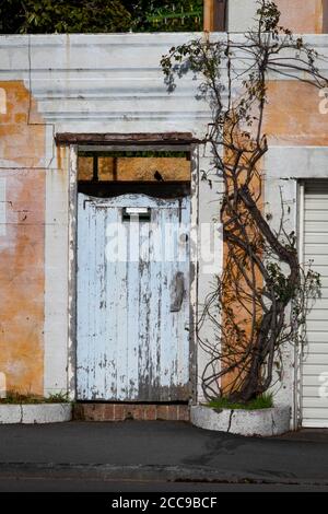 Verblasste orange gestrichene Wand und blaue Tür, Oriental Bay, Wellington, Nordinsel, Neuseeland Stockfoto