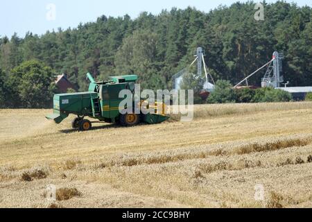 Mähdrescher arbeiten auf einem Weizenfeld. Litauen Stockfoto