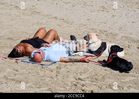 Weymouth, Dorset, Großbritannien. August 2020. Wetter in Großbritannien. Sonnenanbeter, die sich am Strand mit ihren Hunden im Badeort Weymouth in Dorset bräunen, an einem windigen Tag mit glühender heißer Sonne und klarem blauen Himmel. Bild: Graham Hunt/Alamy Live News Stockfoto