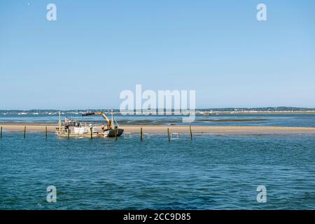 Austernzucht in der Bucht von Arcachon (Südwestfrankreich): austernzüchter, der auf einem Lastkahn in den Austernbeeten bei L’ile-aux-Oiseaux (Vogelinsel) arbeitet Stockfoto