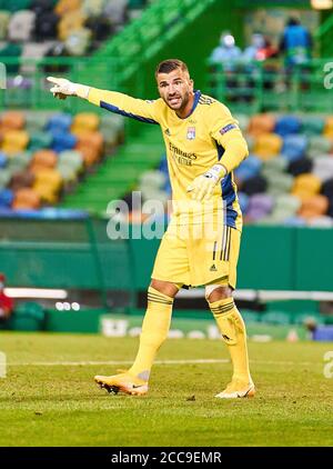 Lissabon, Lissabon, Portugal, 19. August 2020. Anthony LOPES, LYON 1 im Halbfinalspiel UEFA Champions League, Finalturnier FC BAYERN MÜNCHEN - OLYMPIQUE LYON 3-0 in der Saison 2019/2020, FCB, © Peter Schatz / Alamy Live News / Pool - die UEFA-VORSCHRIFTEN VERBIETEN DIE VERWENDUNG VON FOTOS als BILDSEQUENZEN und/oder QUASI-VIDEO - Nationale und internationale Nachrichtenagenturen AUSSCHLIESSLICHE redaktionelle Verwendung Stockfoto