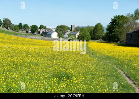 Blick auf einen Fußweg durch eine Butterwiese in voller Höhe Blume, die in Richtung Yorkshire Dales Dorf Askrigg führt Stockfoto