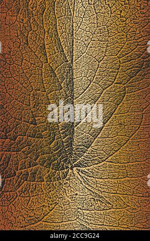 Distress Baum Blätter, Flugblatt Textur auf goldenem Hintergrund. Schwarz-weiß Grunge Hintergrund. EPS8 Vektorgrafik. Stock Vektor