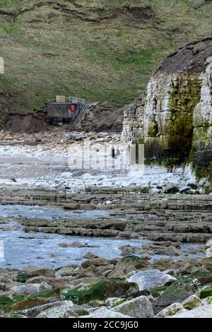 Hohe Kreidefelsen, Menschen und Hund, felsiger Strand, Felsen am Meer, ruhiges Meer, Pillbox aus dem 2. Weltkrieg - Thornwick Bay Flamborough, East Yorkshire Coast, England Stockfoto