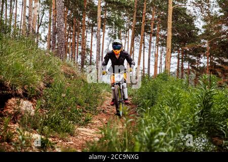 Downhill-Fahrer Athlet Rides Rennen auf Trail im Pinienwald Stockfoto