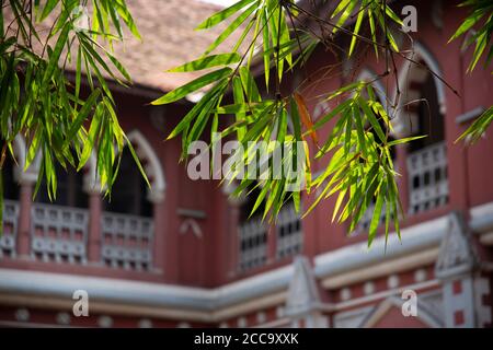 College of Fine Arts, Thiruvananthapuram Stockfoto