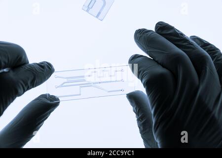 Organ auf Chip OOC und Labor auf Chip LOC - microfluidic Gerät Chip, der biologische Organe und Laborgerät simuliert. Prototyp des Design Lab-on-a Stockfoto