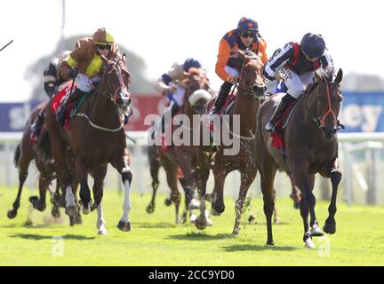 Happy Romance von Sean Levey (rechts) gewinnt die Goffs UK Premier Yearling Stakes am zweiten Tag des Yorkshire Ebor Festivals auf der York Racecourse. Stockfoto