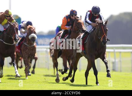 Happy Romance von Sean Levey (rechts) gewinnt die Goffs UK Premier Yearling Stakes am zweiten Tag des Yorkshire Ebor Festivals auf der York Racecourse. Stockfoto