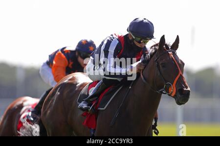 Happy Romance von Sean Levey (rechts) gewinnt die Goffs UK Premier Yearling Stakes am zweiten Tag des Yorkshire Ebor Festivals auf der York Racecourse. Stockfoto