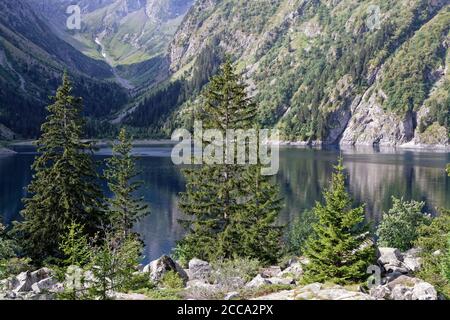 Lauvitel See und Kiefer unter den Hängen des Parc Des Ecrins Stockfoto