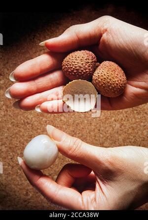 Litschi-Frucht, Litchi chinensis, Stockfoto