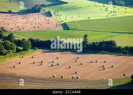 französische Landschaft in der Nähe von Calais in Parc regional de Caps et marais im Norden frankreichs Stockfoto