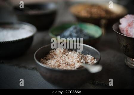 Salzsorten leben immer noch Stockfoto