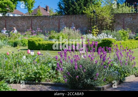 Blumenausstellungen im Walled Garden aus dem 17. Jahrhundert, Eastcote House Gardens, Hillingdon, North West London, England, Großbritannien Stockfoto