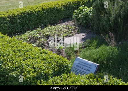 Kosmetischer Kräutergarten, einer von vier Kräuterbeeten, die 1977 für Queens Silver Jubilee gepflanzt wurden, wurde 2016 zum 90. Geburtstag von Königin Elizabeth II. Umgebaut. Stockfoto