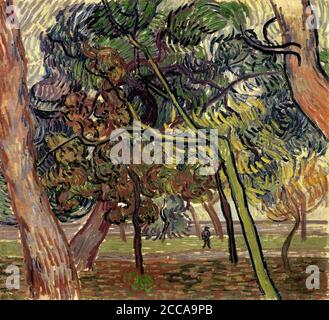Pinien im Garten der Anstalt. Museum: Kröller-Müller Museum, Otterlo. AUTOR: VINCENT VAN GOGH. Stockfoto