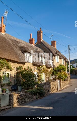 Traditionelle reetgedeckte Häuser im schönen Dorf Burton Bradstock, Dorset, England. Stockfoto