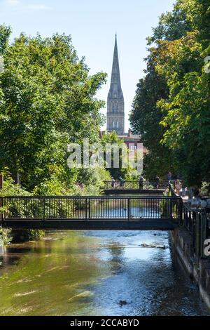 Ein Blick auf Salisbury Cathedral Turm mit dem Fluss Avon im Vordergrund von den Maltings, Salisbury, Wiltshire, England Stockfoto