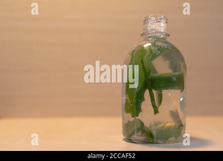 Infusion von Aloe Vera. Aloe Vera ist eine Pflanze für seine medizinischen und kosmetischen Eigenschaften, die verwendet werden, um verschiedene Arten von Krankheiten und als zu behandeln bekannt Stockfoto