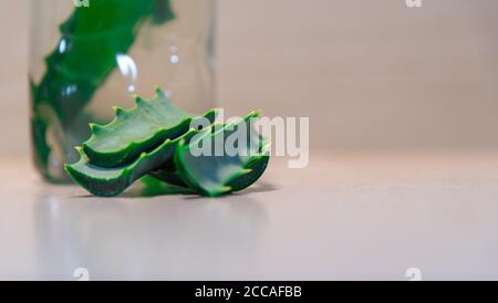 Infusion von Aloe Vera. Aloe Vera ist eine Pflanze für seine medizinischen und kosmetischen Eigenschaften, die verwendet werden, um verschiedene Arten von Krankheiten und als zu behandeln bekannt Stockfoto