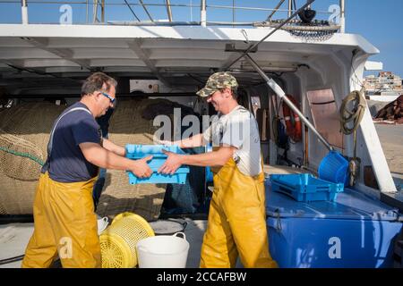 Die Fischer laden ihren Fang von frischem Fisch auf die Uferstraße am Hafen von Palamós. Costa Brava. Katalonien. Spanien. Stockfoto