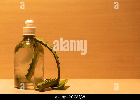 Infusion von Aloe Vera. Aloe Vera ist eine Pflanze für seine medizinischen und kosmetischen Eigenschaften, die verwendet werden, um verschiedene Arten von Krankheiten und als zu behandeln bekannt Stockfoto