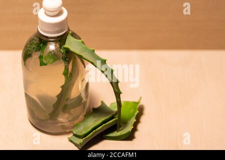 Infusion von Aloe Vera. Aloe Vera ist eine Pflanze für seine medizinischen und kosmetischen Eigenschaften, die verwendet werden, um verschiedene Arten von Krankheiten und als zu behandeln bekannt Stockfoto