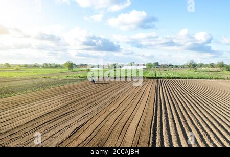 Landwirt auf einem Traktor fährt auf einem Feld. Landwirtschaft und Agrarindustrie. Gemüseanbau. Landmarkt, Vermietung von Parzellen für die Aussaat. Landwirtschaftliches lan Stockfoto