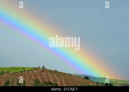 Aberystwyth, Wales, UK - EIN Regenbogen bildet sich über den Ausläufern der Cambrian Mountains in der Nähe von Aberystwyth, Wales, UK, da instabile Bedingungen schwere Gewitterschauer ins Land bringen - 20. August 2020 Stockfoto