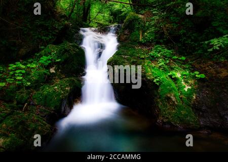 Kleiner Wasserfall in einem Tal im Wald Stockfoto