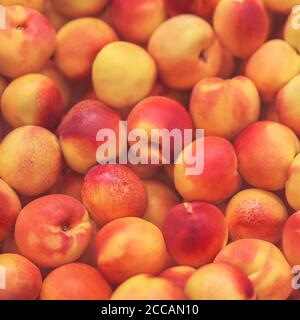 Zarte reife duftende Nektarinen liegen im Supermarkt, bereit zum Kauf. Hintergrund der Frucht. Gute Ernte. Stockfoto