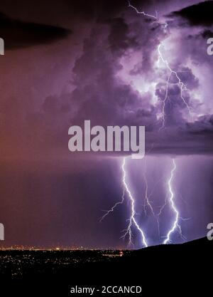 Blitzschläge während eines Monsunsturms in der Sonoran Wüste, Tucson, Arizona, USA. Stockfoto
