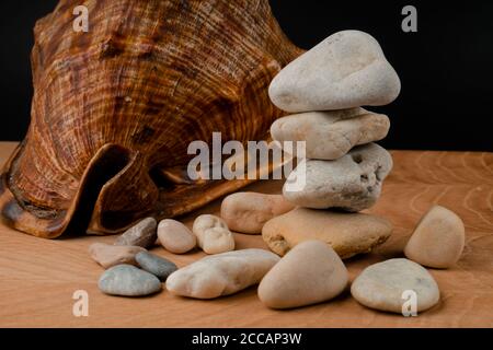 Muscheln und Steine auf einer Tafel auf schwarzem Hintergrund Stockfoto