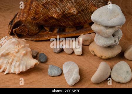 Muscheln und ein Bündel Seesteine, auf einem Holzbrett Stockfoto