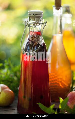 Kombucha zweiter fermentierter Früchtetee mit verschiedenen Aromen. Gesunde natürliche probiotische aromatisierte Getränk Stockfoto