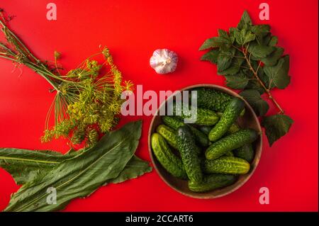 Frische Gurken in einer Schüssel, Knoblauch, Dill, Blätter von Meerrettich und Johannisbeeren auf rotem Grund, Vorbereitung für das Einkochen Stockfoto