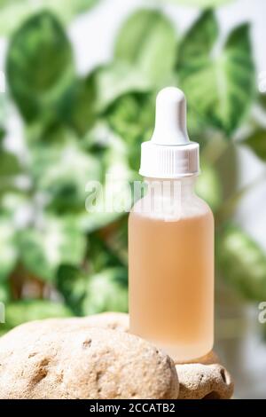 Transparente Flasche mit kosmetischer Flüssigkeit auf Stein vor grünem Hintergrund. Stockfoto