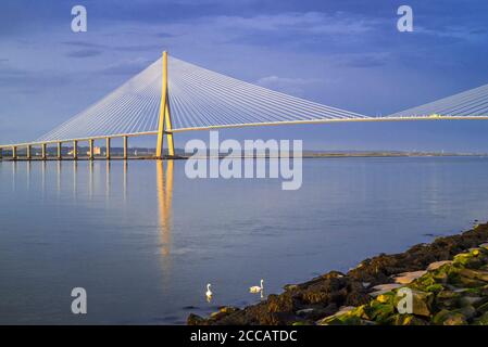 Pont de Normandie / Brücke der Normandie, Seilbahnbrücke über die seine, die Le Havre mit Honfleur, Normandie, Frankreich verbindet Stockfoto