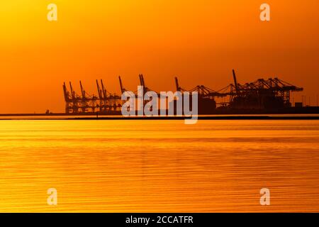 Portalkrane am Containerterminal im Seehafen von Le Havre gegen Sonnenuntergang, seine-Maritime, Frankreich, silhouettiert Stockfoto