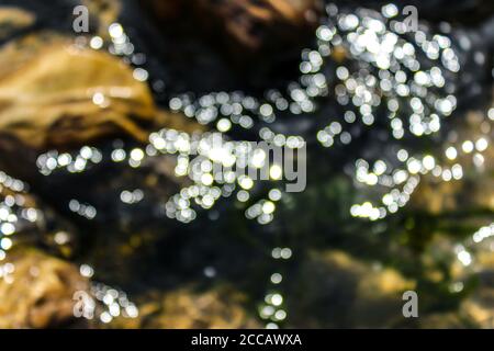 Kasol Manali - der glühende Parvati-Fluss in den Schneebirgen von Himachal Pradesh, Indien. Flusswasser rauscht im Tal der Götter. Himachal Pradesh. Stockfoto