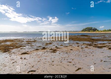 Bretagne, Panorama des Morbihan Golfes, Blick von der Ile aux Moines, kleine Insel bei Ebbe Stockfoto