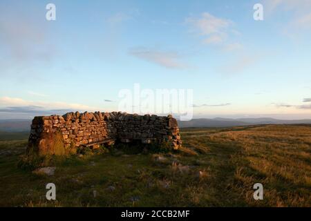 Der Schutz auf dem Gipfel des Great Shunner fiel in den Yorkshire Dales, Großbritannien Stockfoto