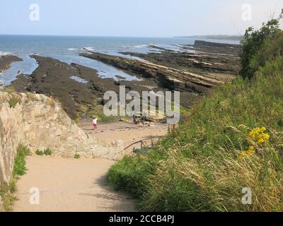 Blick auf die felsige Küste an der Küste von Fife in St Andrews, Blick auf die Nordsee an einem Sommertag. Stockfoto