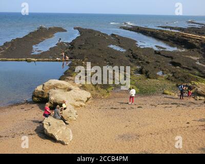 Blick auf die felsige Küste an der Küste von Fife in St Andrews, Blick auf die Nordsee an einem Sommertag. Stockfoto