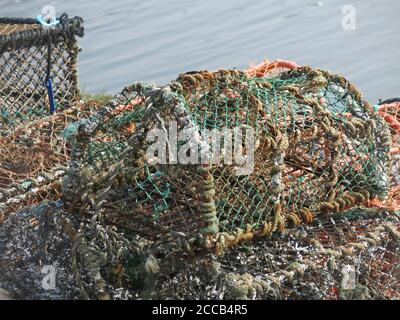 Nahaufnahme der Hummerkäfige am Kai von St Andrews; aus einem Holzrahmen mit Netz. Stockfoto