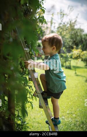 Kleiner Junge steigt die Treppe auf Baumhaus im grünen Garten. Sommerzeit Stockfoto