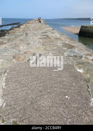 Ein Blick auf den Pier und auf das Meer, während Sie auf dem Hafenende des Piers stehen; St Andrews, Fife, August 2020 Stockfoto