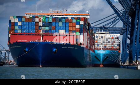 COSCO Shipping Vessel - die COSCO Shipping Fische werden in Felixstowe Hafen manövriert, nachdem sie voll von der vorherigen Haltestelle Singapur ankommen. Stockfoto