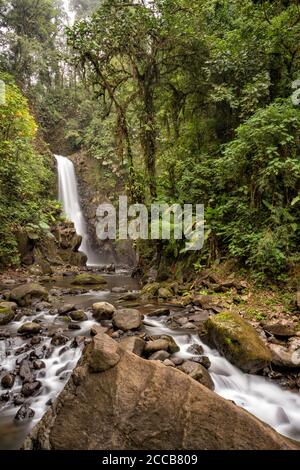 Ein Wasserfall und flacher Bach in den La Paz Waterfall Gardens in Costa Rica. Stockfoto